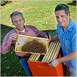 Sharing a Taste of Honey, on a Global Scale